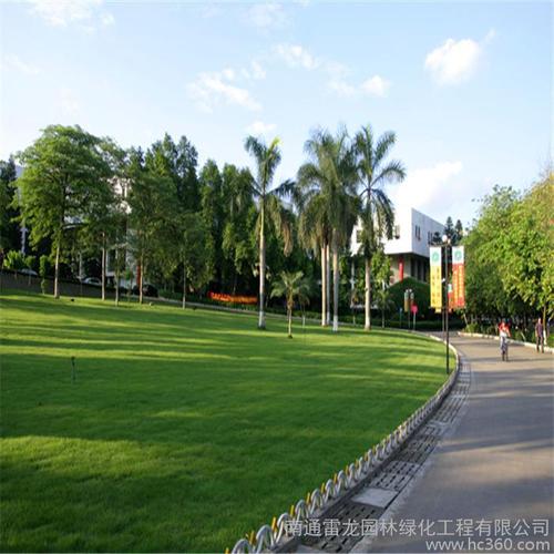 南通雷龙园林绿化工程 产品展厅 >高速绿化销售 高速绿化优惠