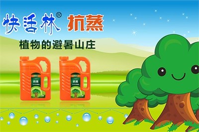 夏季天气热苗木萎蔫严重?试试快活林抑制蒸腾剂保水保鲜